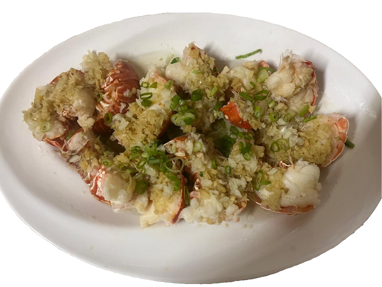 LOBSTER